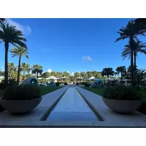 ミカ