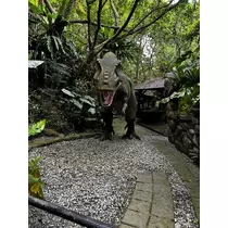 秋葉 夢羅