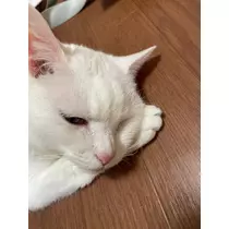 りおな