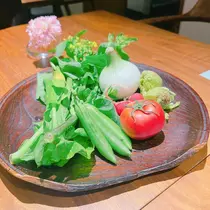 向日葵 ひまり