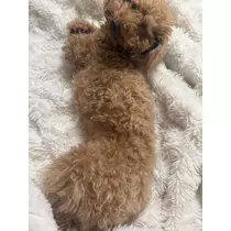 美波 あいか