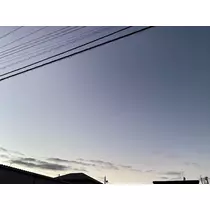 れな