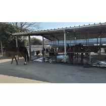 りか