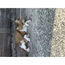 潤