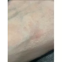 空条 しいな