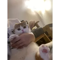 るな
