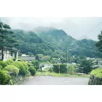 かびるんるんさわ