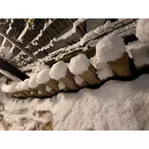 愛羽 仁美