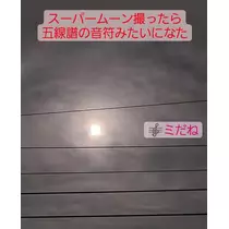 紫音