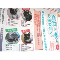 ひな