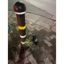 せら