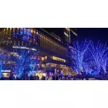 宝條 夏恋