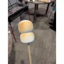 みこと