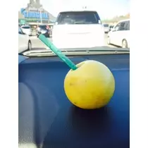 ゆかり