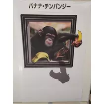 真城 みく