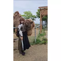 りか