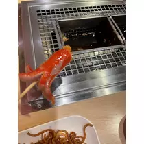 ねお