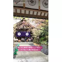 夏目 梨仔