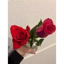 美月