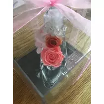白石 愛莉