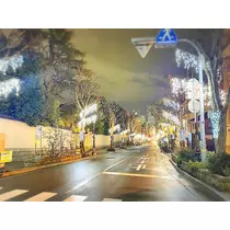 さくら