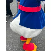 姫花