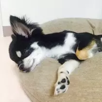 みあ