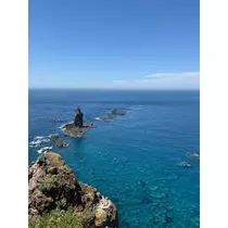 野本 明日香