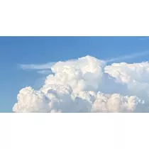 なつき