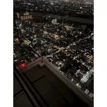 せいか