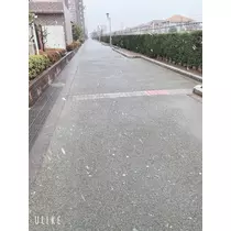美桜