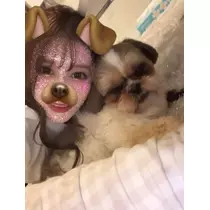 芹沢 莉瀬