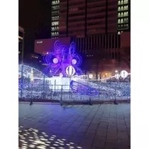 成海 まお