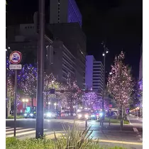 八吹 唯菜