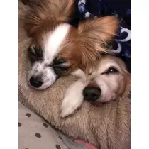 ティナ