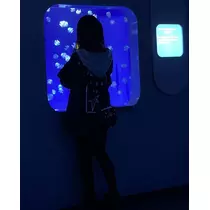 れいれい