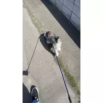 天月 あすな