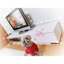 荒木 ナツミ