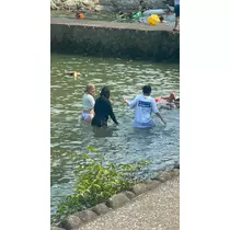 まる