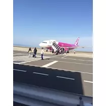 姫花