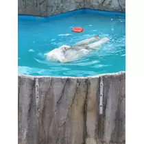 のはら かすみ