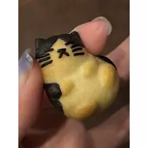 皐月 いおり