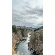 水田 まり