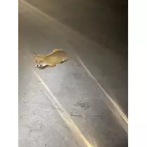 うづき ふうか