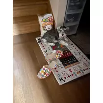 天月 あすな