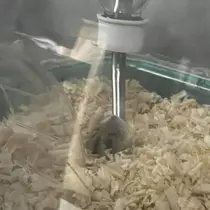ちゃお