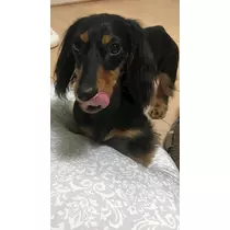 ゆうな