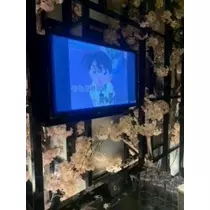 春風 ゆずな