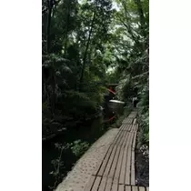 ひじり