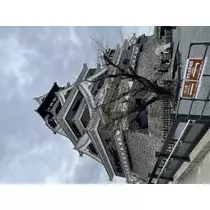 美月